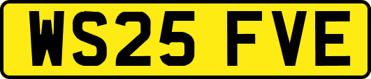 WS25FVE