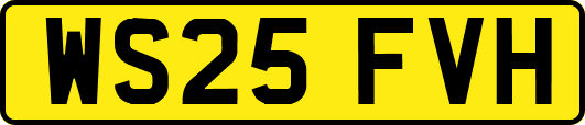 WS25FVH