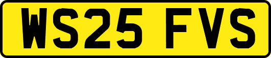 WS25FVS