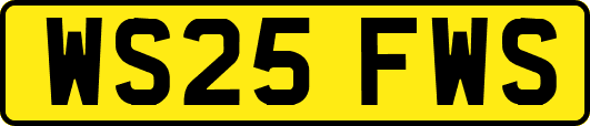 WS25FWS