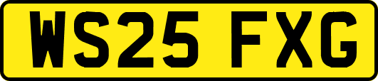 WS25FXG