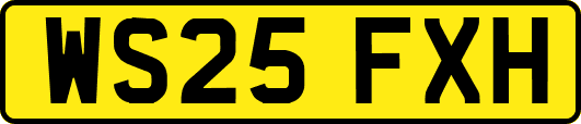 WS25FXH