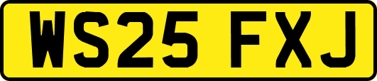 WS25FXJ