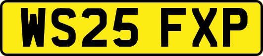 WS25FXP