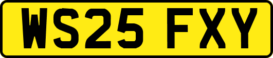 WS25FXY