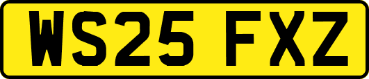 WS25FXZ