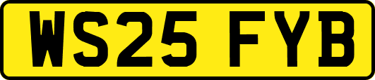 WS25FYB