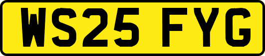 WS25FYG