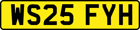 WS25FYH