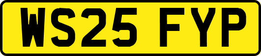 WS25FYP