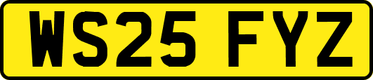 WS25FYZ
