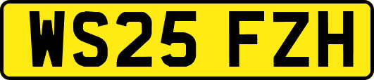 WS25FZH