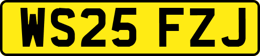 WS25FZJ