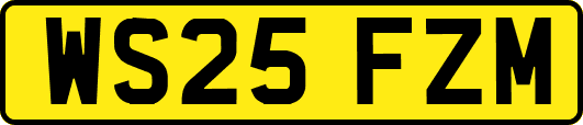 WS25FZM