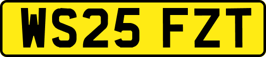 WS25FZT