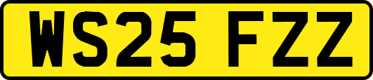 WS25FZZ