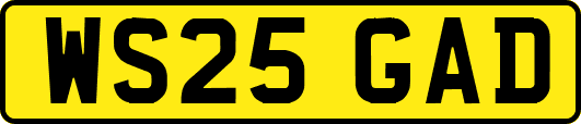 WS25GAD