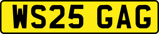 WS25GAG