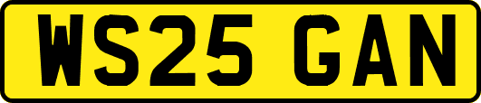 WS25GAN