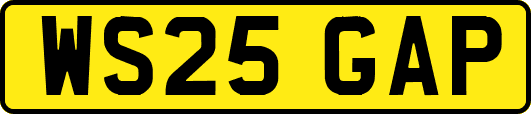 WS25GAP