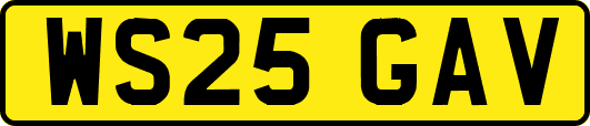 WS25GAV