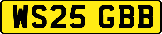 WS25GBB