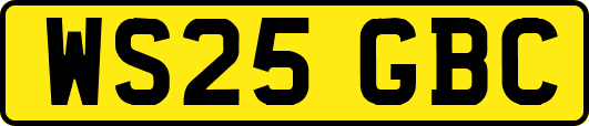 WS25GBC