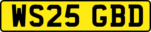 WS25GBD