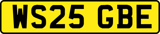 WS25GBE