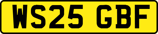 WS25GBF