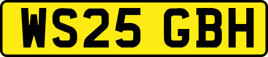 WS25GBH
