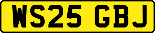 WS25GBJ