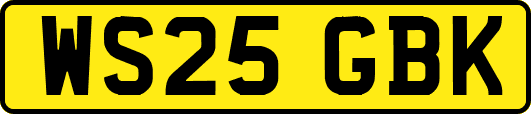 WS25GBK