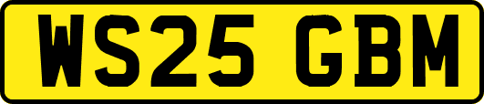 WS25GBM