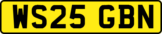 WS25GBN