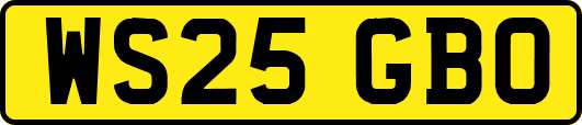 WS25GBO