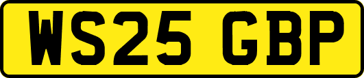 WS25GBP