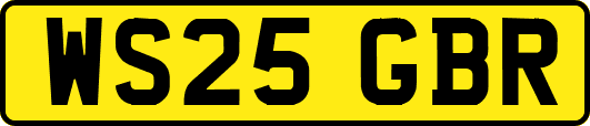 WS25GBR