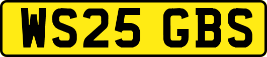 WS25GBS