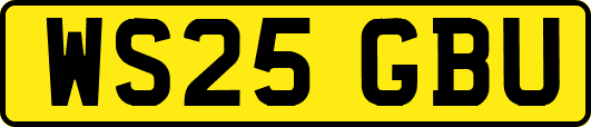 WS25GBU