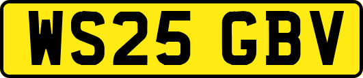 WS25GBV