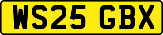 WS25GBX