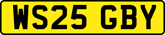 WS25GBY