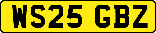 WS25GBZ