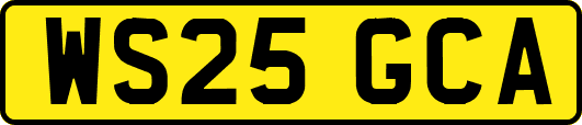 WS25GCA