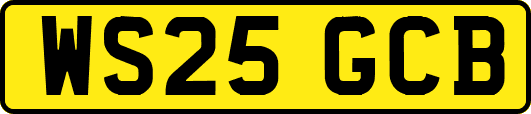 WS25GCB