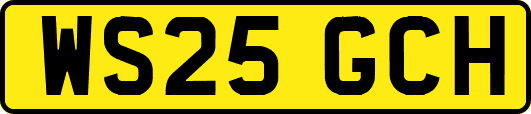 WS25GCH