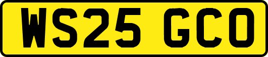 WS25GCO