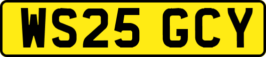 WS25GCY