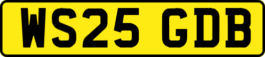 WS25GDB